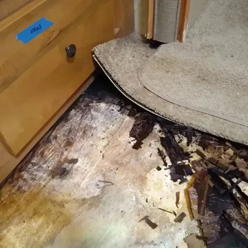 Wood Floor Water Damage in Harrisburg, AR